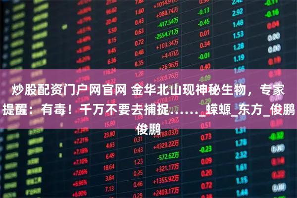 炒股配资门户网官网 金华北山现神秘生物，专家提醒：有毒！千万不要去捕捉……_蝾螈_东方_俊鹏